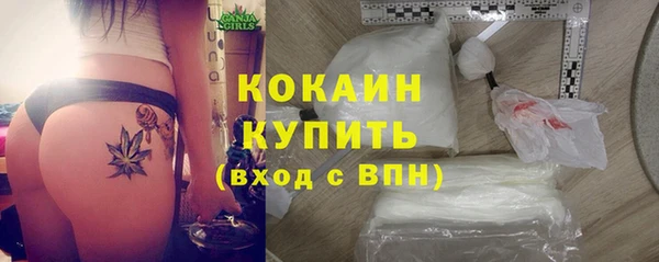 дмт Вяземский