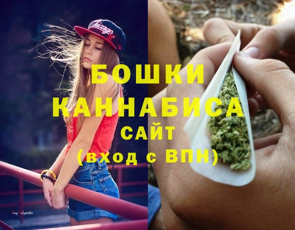 дмт Вяземский