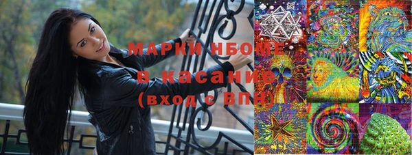 дмт Вяземский