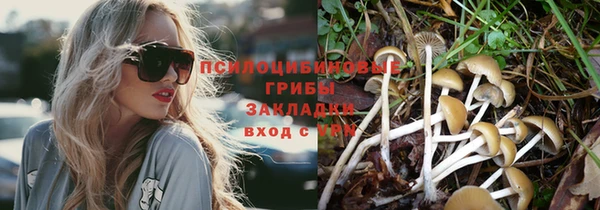 дмт Вяземский