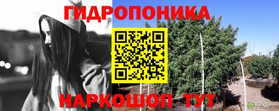 крисы Уссурийск