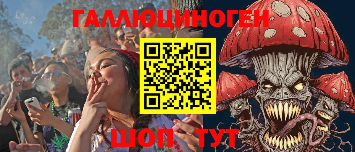 Галлюциногенные грибы мухоморы Тында