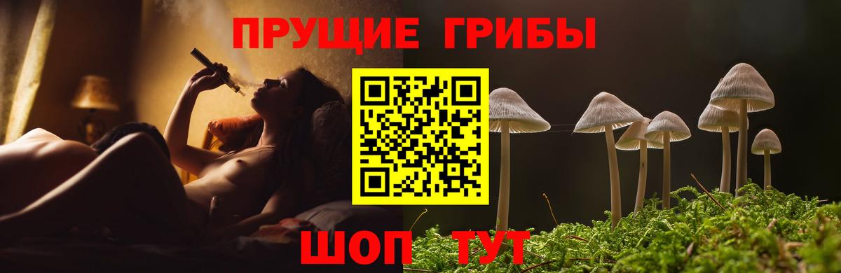 Галлюциногенные грибы прущие грибы  Вход с VPN  Тында  Галлюциногенные грибы прущие грибы 